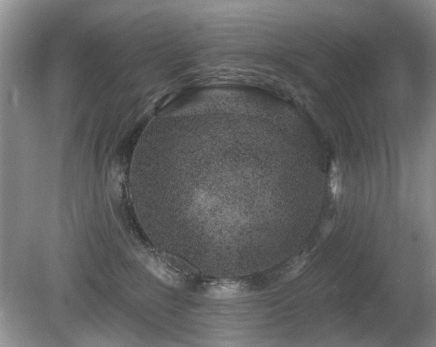 X0000080130235200612081238