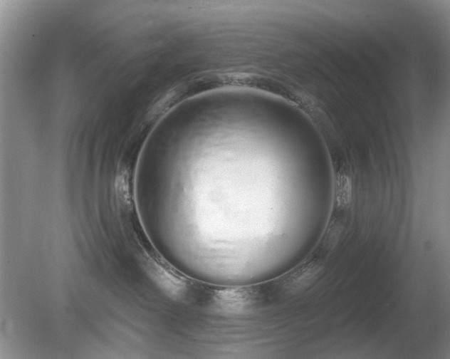 X0000080130238200612081238