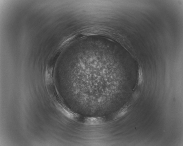 X0000080130239200612081238