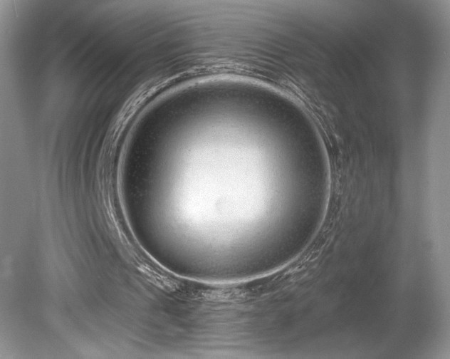 X0000080130241200612081237