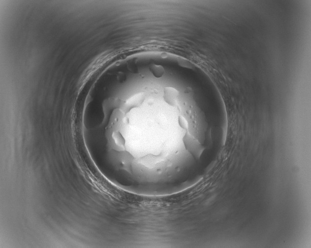 X0000080130242200612081237