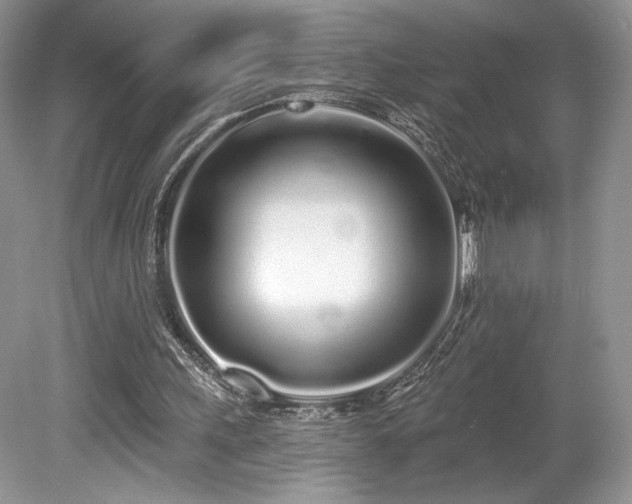 X0000080130243200612081237