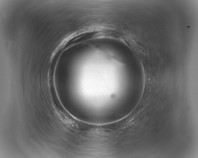 X0000080130244200612081237