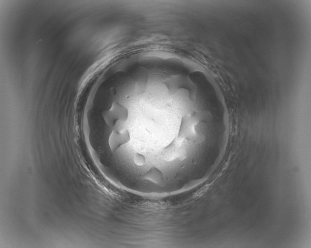 X0000080130245200612081237