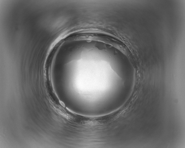 X0000080130246200612081237