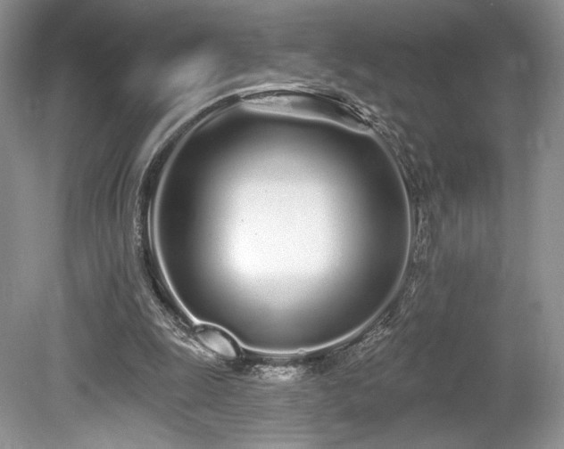 X0000080130247200612081237