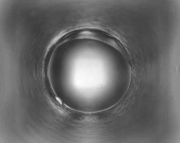 X0000080130248200612081237