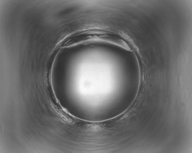 X0000080130249200612081237