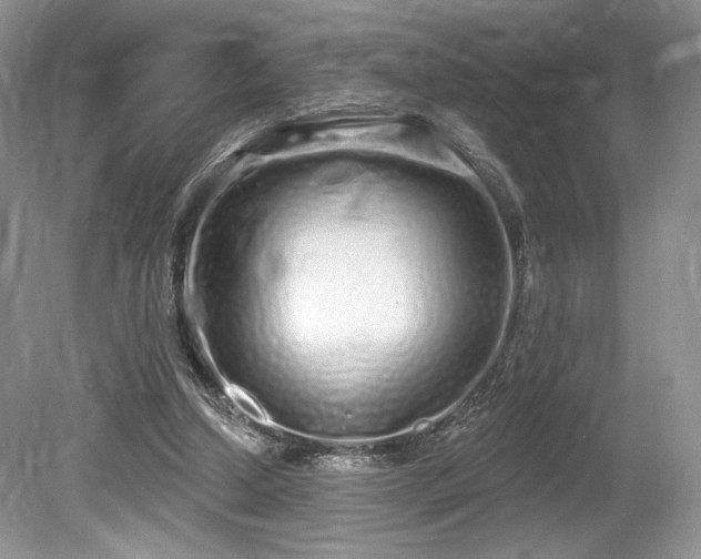 X0000080130250200612081237