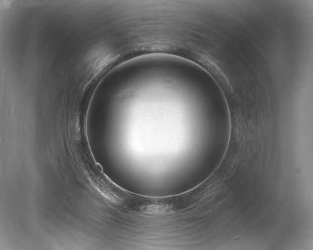 X0000080130251200612081237