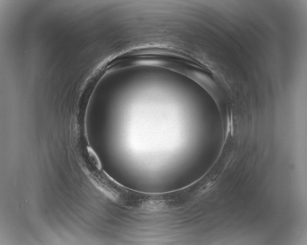 X0000080130252200612081237