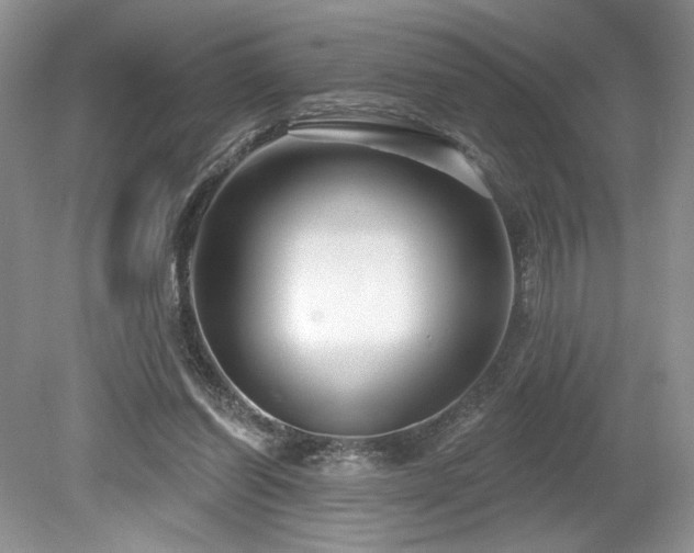 X0000080130254200612081237