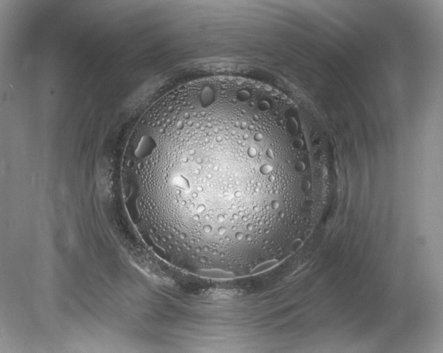 X0000080130255200612081237