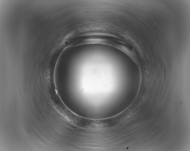 X0000080130260200612081237