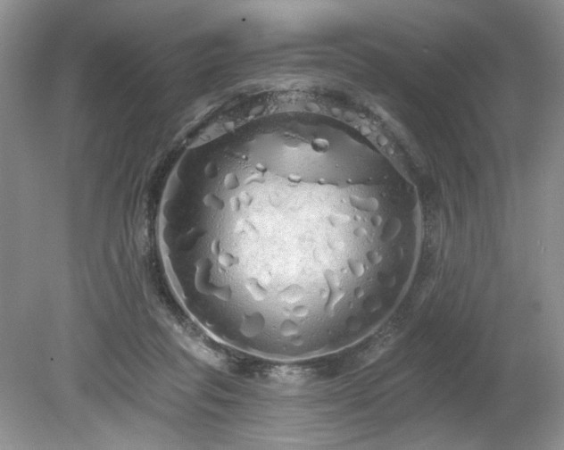 X0000080130261200612081237