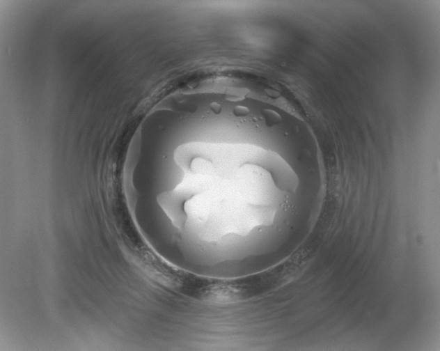 X0000080130263200612081238