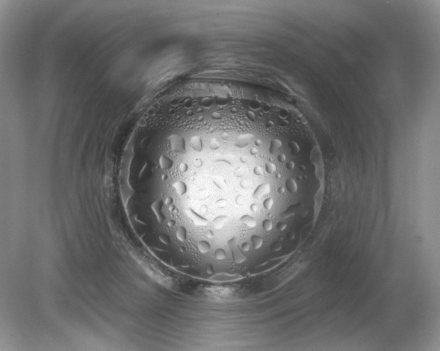 X0000080130265200612081238