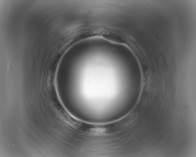 X0000080130266200612081238