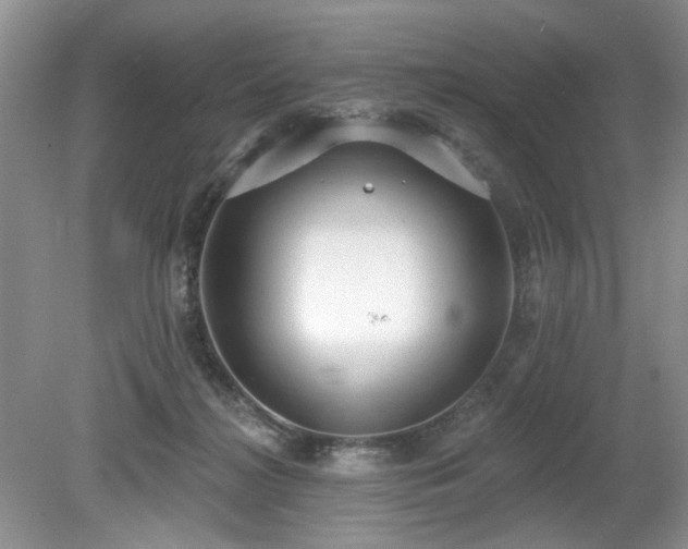 X0000080130268200612081238