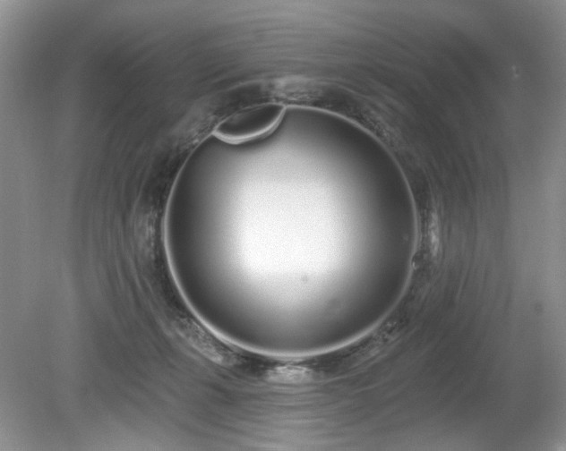 X0000080130271200612081238