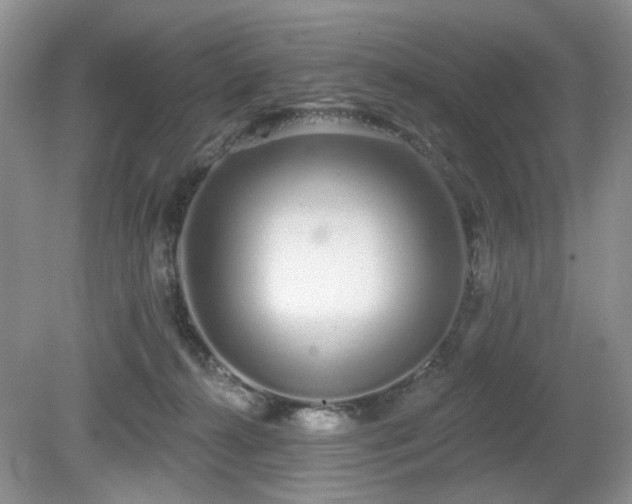 X0000080130272200612081238