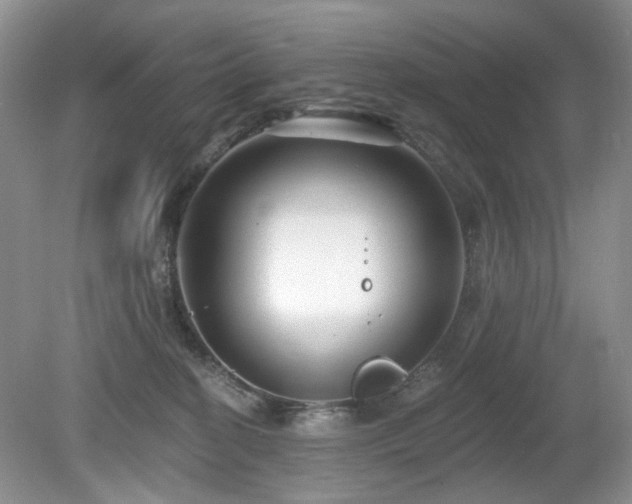 X0000080130274200612081238