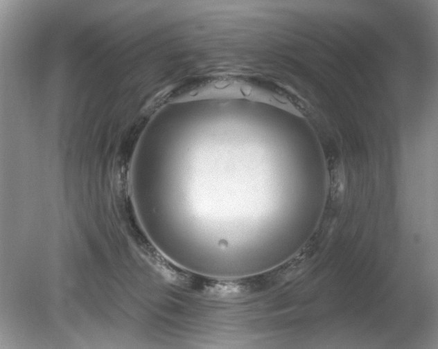 X0000080130276200612081238