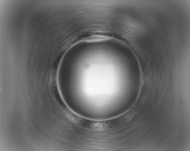 X0000080130277200612081238