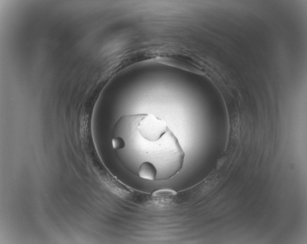 X0000080130278200612081238