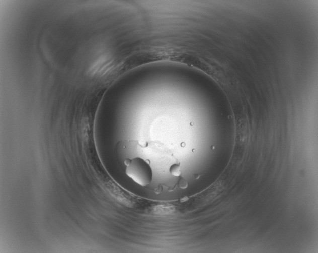 X0000080130279200612081238