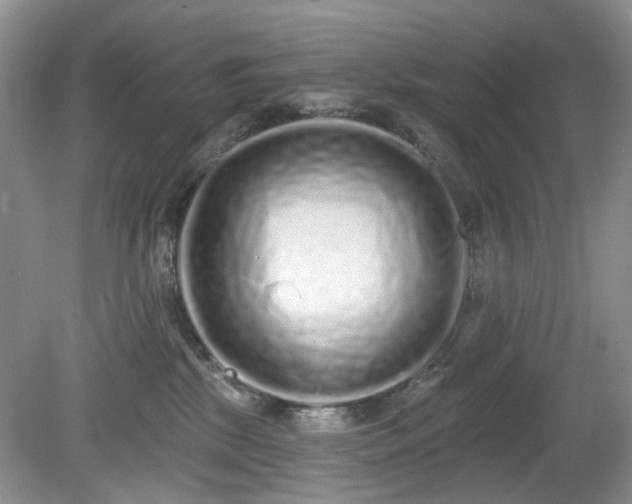 X0000080130281200612081238