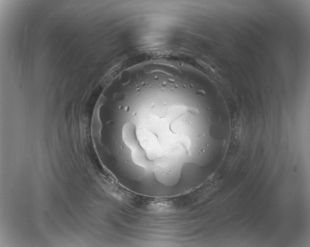 X0000080130283200612081238