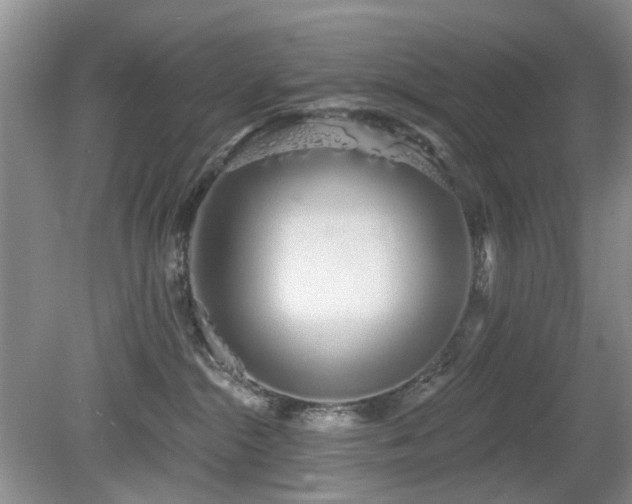 X0000080130284200612081238