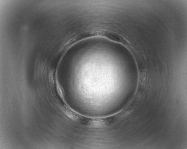 X0000080130286200612081238