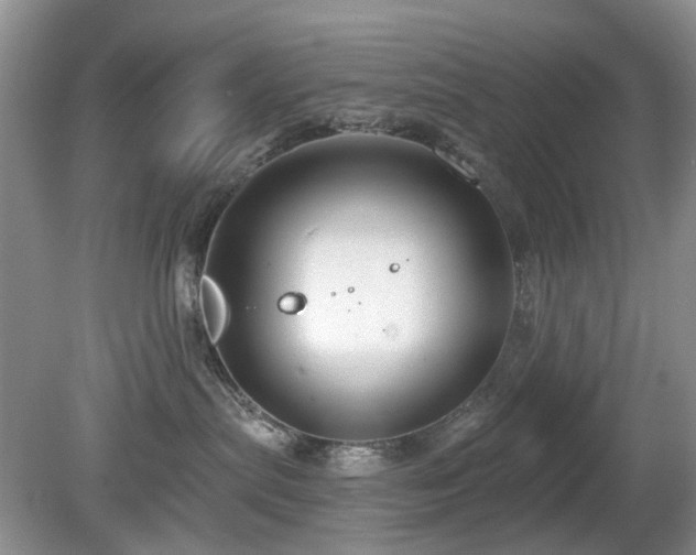 X0000080130287200612081238