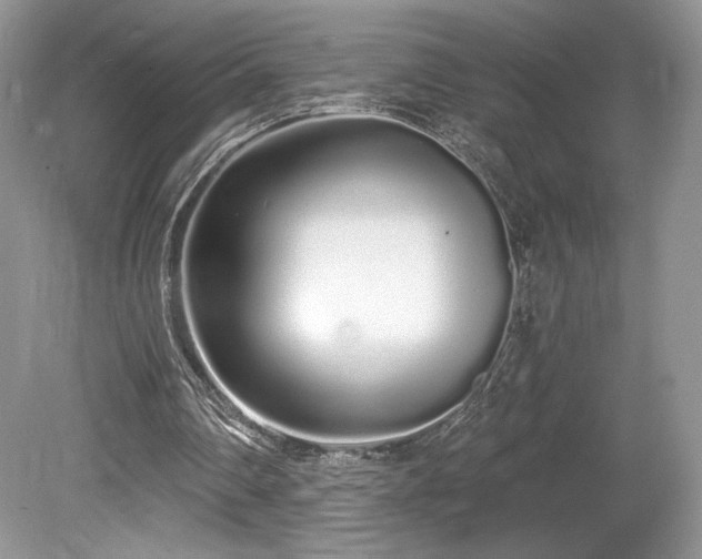 X0000080130290200612081237