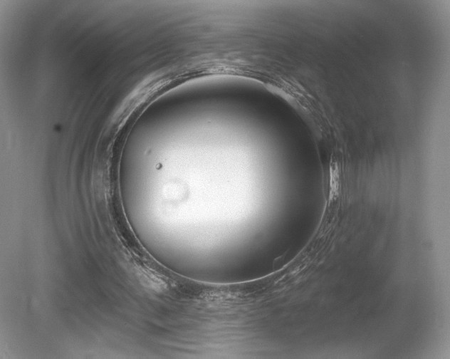 X0000080130291200612081237