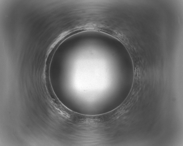 X0000080130292200612081237