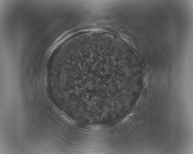 X0000080130295200612081237