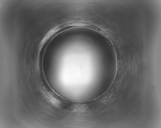 X0000080130296200612081237