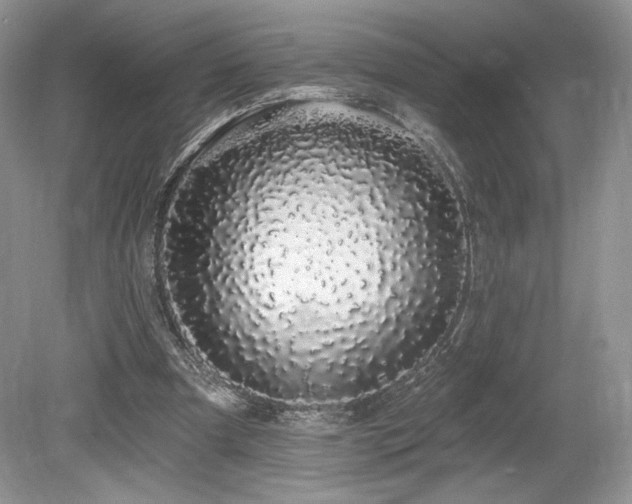 X0000080130297200612081237