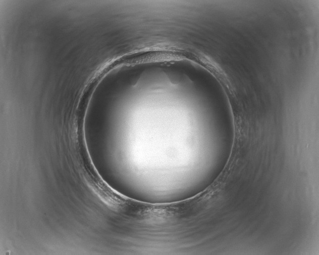 X0000080130298200612081237