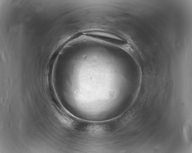 X0000080130299200612081237