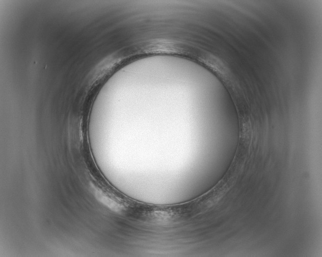 X0000080130302200612081237