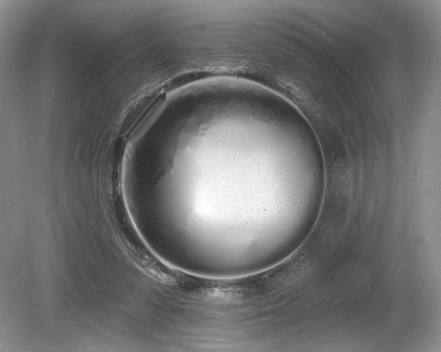 X0000080130303200612081237