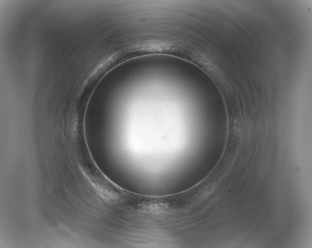 X0000080130304200612081237