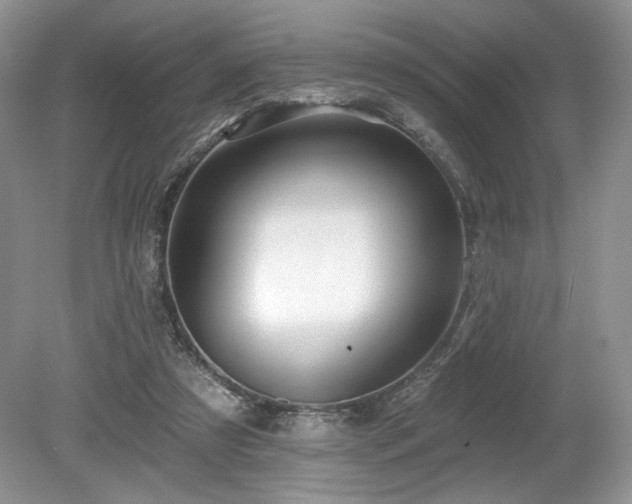 X0000080130305200612081237