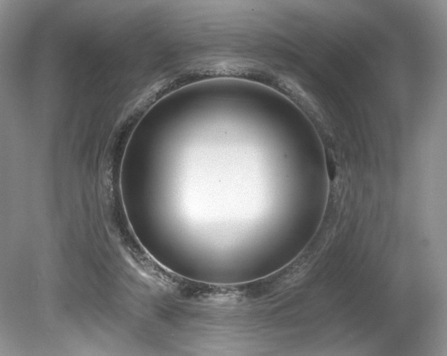 X0000080130306200612081237