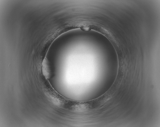 X0000080130307200612081237