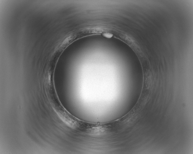 X0000080130310200612081237